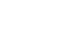 Phoenix Service